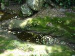 DSC08203.JPG